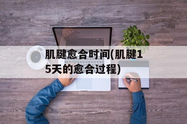 肌腱愈合时间(肌腱15天的愈合过程)-第1张图片-