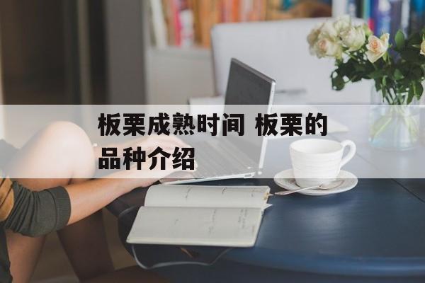 板栗成熟时间 板栗的品种介绍-第1张图片-