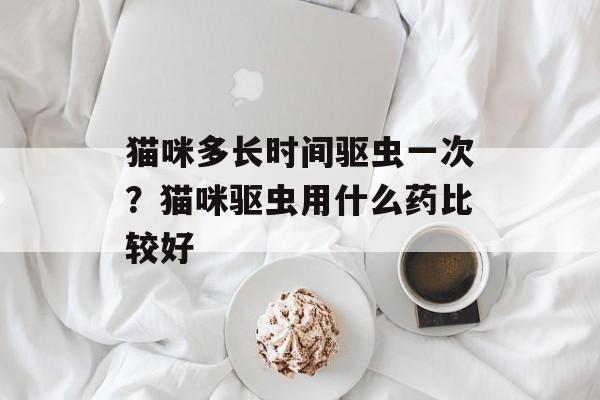 猫咪多长时间驱虫一次？猫咪驱虫用什么药比较好-第1张图片-