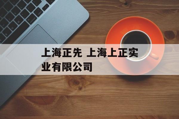 上海正先 上海上正实业有限公司-第1张图片-
