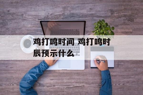 鸡打鸣时间 鸡打鸣时辰预示什么-第1张图片-