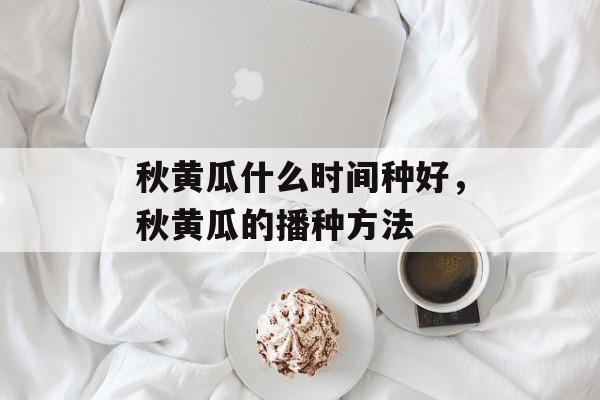 秋黄瓜什么时间种好，秋黄瓜的播种方法-第1张图片-
