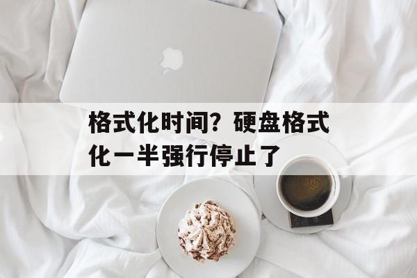 格式化时间？硬盘格式化一半强行停止了-第1张图片-