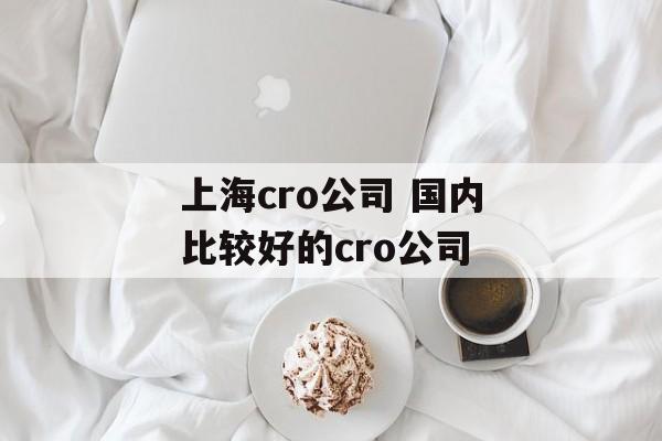上海cro公司 国内比较好的cro公司-第1张图片-