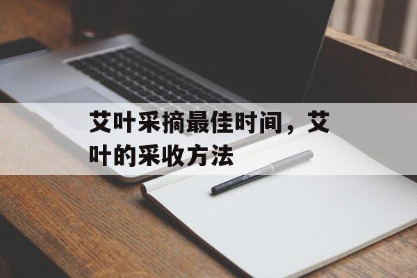 艾叶采摘最佳时间，艾叶的采收方法-第1张图片-