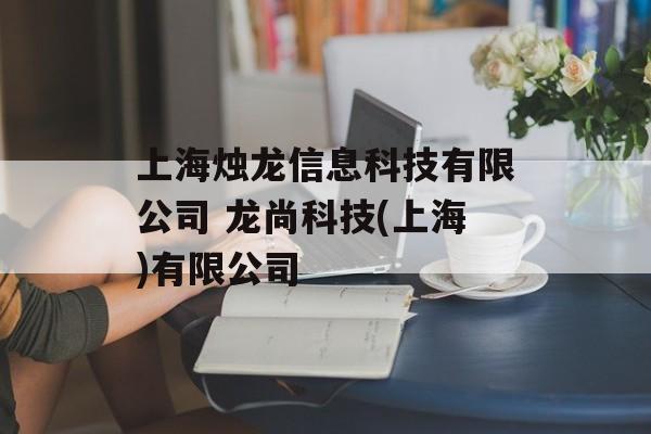 上海烛龙信息科技有限公司 龙尚科技(上海)有限公司-第1张图片-