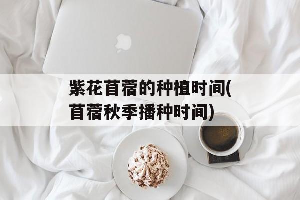 紫花苜蓿的种植时间(苜蓿秋季播种时间)-第1张图片-
