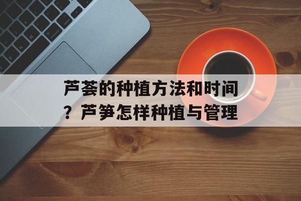 芦荟的种植方法和时间？芦笋怎样种植与管理-第1张图片-