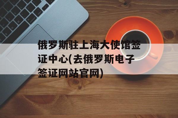 俄罗斯驻上海大使馆签证中心(去俄罗斯电子签证网站官网)-第1张图片-