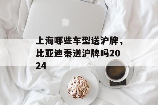 上海哪些车型送沪牌，比亚迪秦送沪牌吗2024-第1张图片-