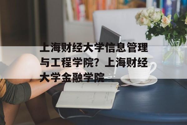 上海财经大学信息管理与工程学院？上海财经大学金融学院-第1张图片-