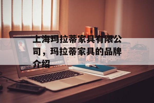 上海玛拉蒂家具有限公司，玛拉蒂家具的品牌介绍-第1张图片-