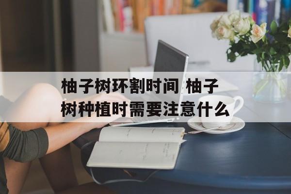 柚子树环割时间 柚子树种植时需要注意什么-第1张图片-
