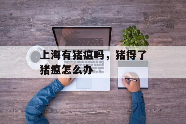 上海有猪瘟吗，猪得了猪瘟怎么办-第1张图片-