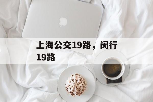 上海公交19路，闵行19路-第1张图片-
