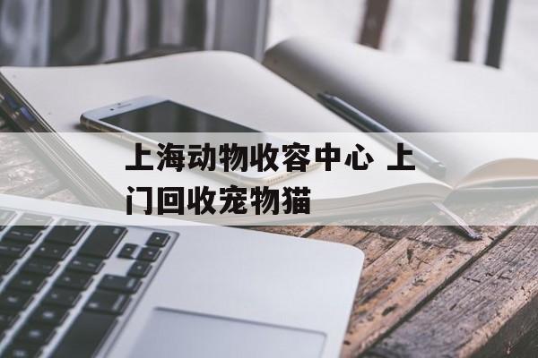 上海动物收容中心 上门回收宠物猫-第1张图片-