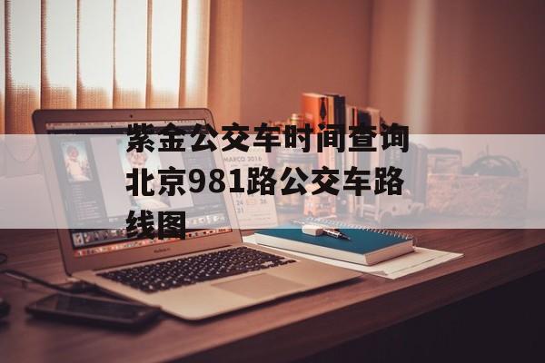 紫金公交车时间查询 北京981路公交车路线图-第1张图片-