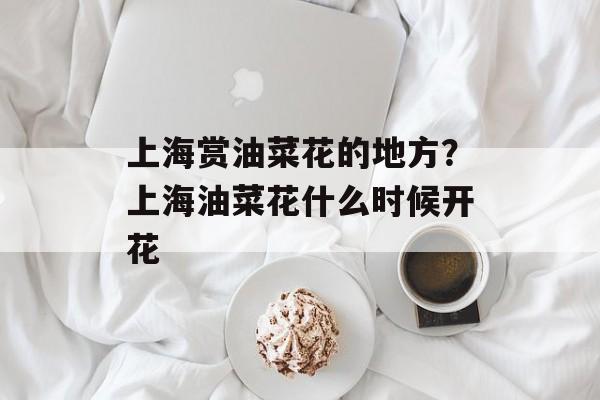上海赏油菜花的地方？上海油菜花什么时候开花-第1张图片-