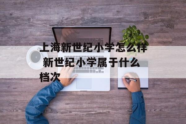 上海新世纪小学怎么样 新世纪小学属于什么档次-第1张图片-