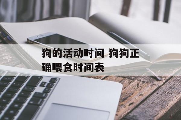 狗的活动时间 狗狗正确喂食时间表-第1张图片-