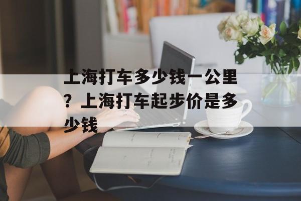 上海打车多少钱一公里？上海打车起步价是多少钱-第1张图片-