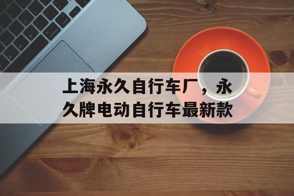 上海永久自行车厂，永久牌电动自行车最新款-第1张图片-