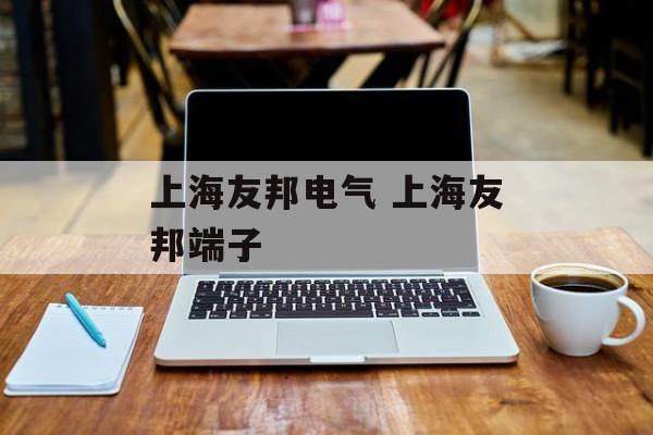 上海友邦电气 上海友邦端子-第1张图片-