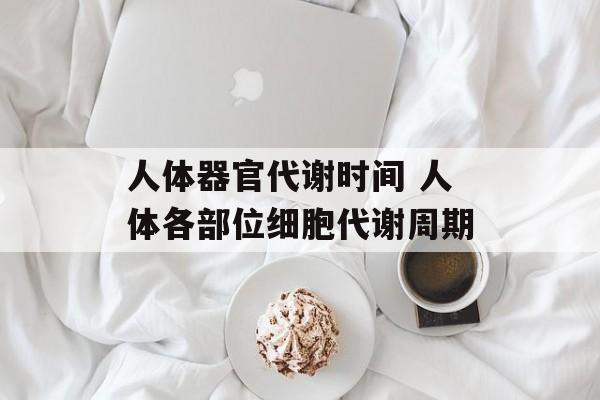 人体器官代谢时间 人体各部位细胞代谢周期-第1张图片-