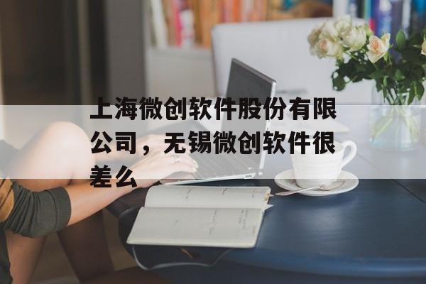上海微创软件股份有限公司，无锡微创软件很差么-第1张图片-