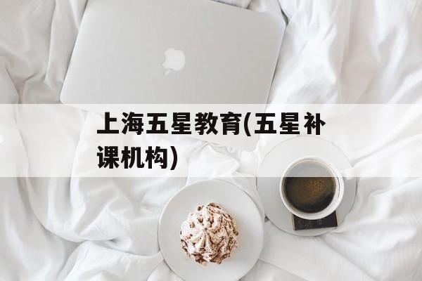 上海五星教育(五星补课机构)-第1张图片-