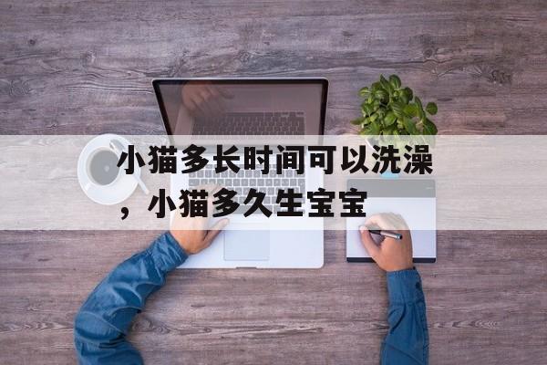 小猫多长时间可以洗澡，小猫多久生宝宝-第1张图片-
