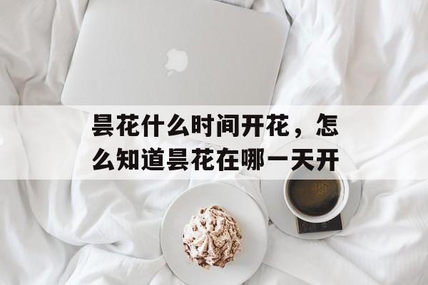 昙花什么时间开花，怎么知道昙花在哪一天开-第1张图片-
