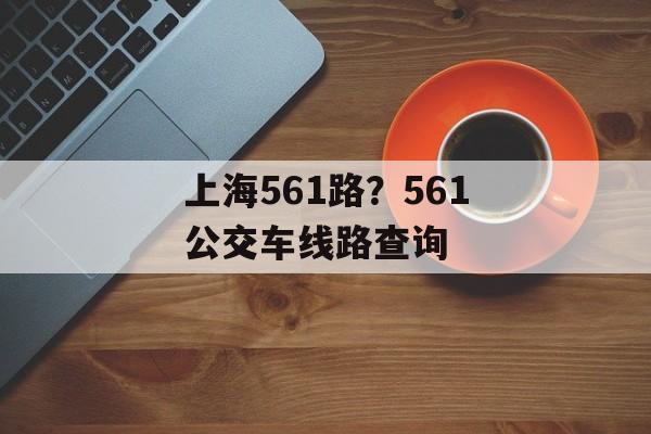 上海561路？561公交车线路查询-第1张图片-