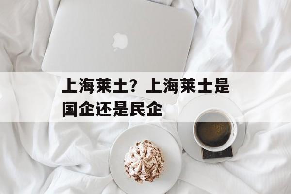 上海莱土？上海莱士是国企还是民企-第1张图片-
