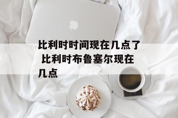 比利时时间现在几点了 比利时布鲁塞尔现在几点-第1张图片-