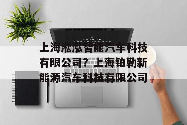 上海淞泓智能汽车科技有限公司？上海铂勒新能源汽车科技有限公司-第1张图片-