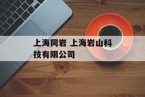上海同岩 上海岩山科技有限公司-第1张图片-