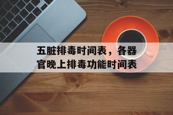 五脏排毒时间表，各器官晚上排毒功能时间表-第1张图片-