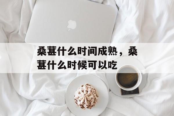 桑葚什么时间成熟，桑葚什么时候可以吃-第1张图片-