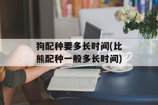 狗配种要多长时间(比熊配种一般多长时间)-第1张图片-