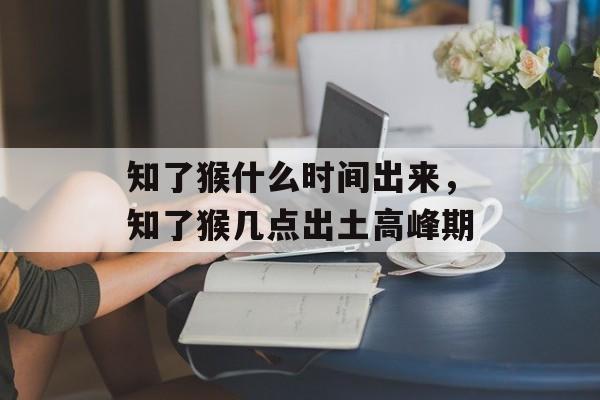 知了猴什么时间出来，知了猴几点出土高峰期-第1张图片-