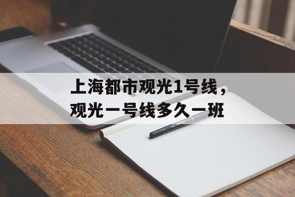 上海都市观光1号线，观光一号线多久一班-第1张图片-