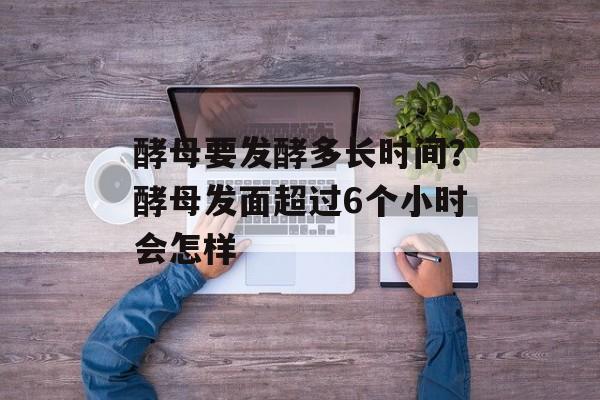 酵母要发酵多长时间？酵母发面超过6个小时会怎样-第1张图片-