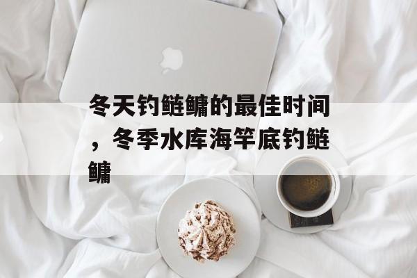 冬天钓鲢鳙的最佳时间，冬季水库海竿底钓鲢鳙-第1张图片-