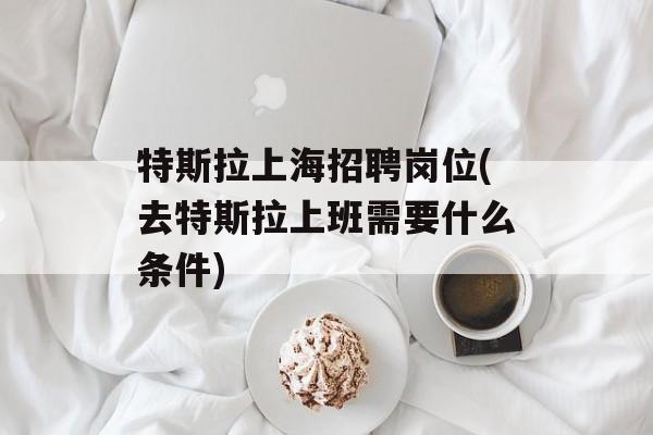 特斯拉上海招聘岗位(去特斯拉上班需要什么条件)-第1张图片-