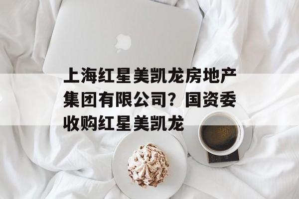 上海红星美凯龙房地产集团有限公司？国资委收购红星美凯龙-第1张图片-