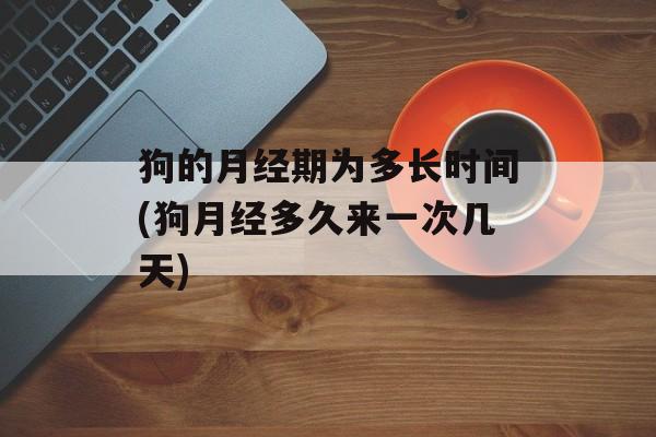 狗的月经期为多长时间(狗月经多久来一次几天)-第1张图片-